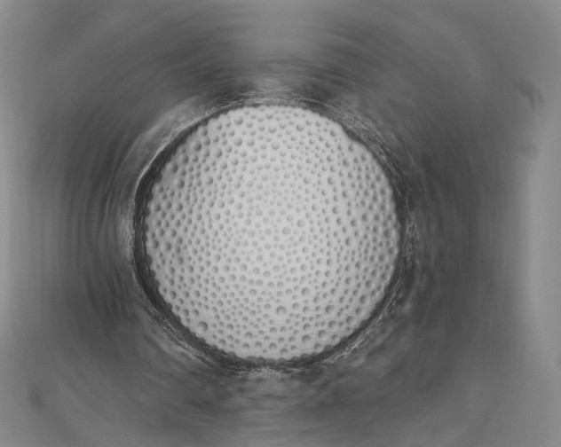 X0000112500290200908311458