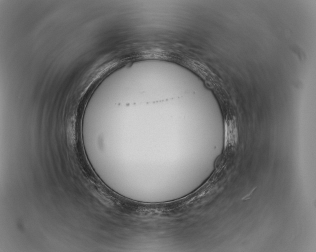 X0000112500291200908311458