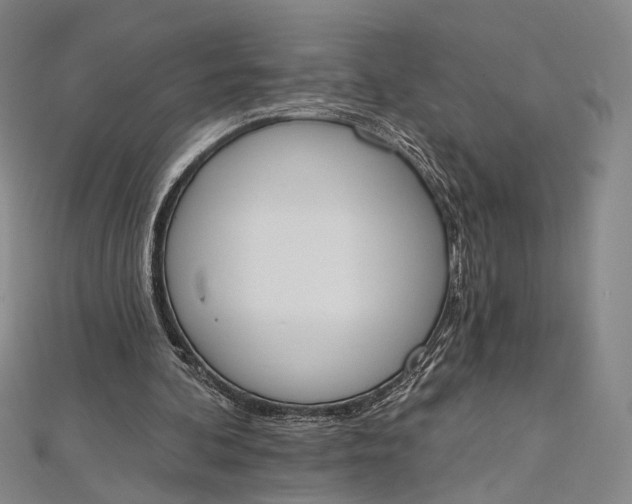 X0000112500292200908311458