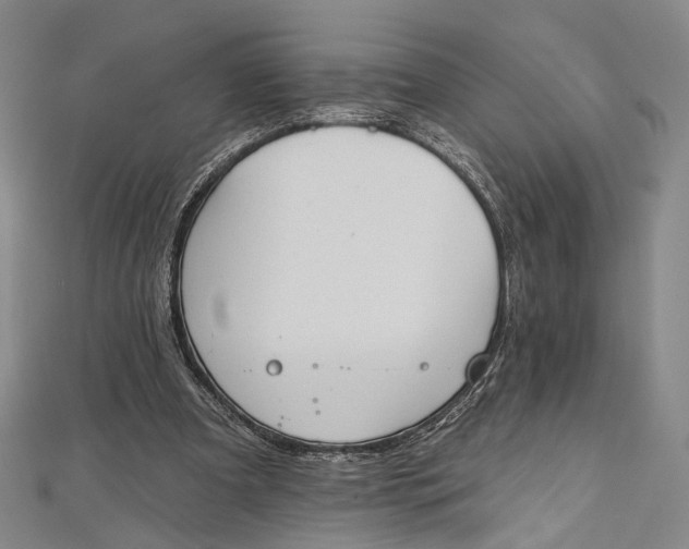 X0000112500297200908311458