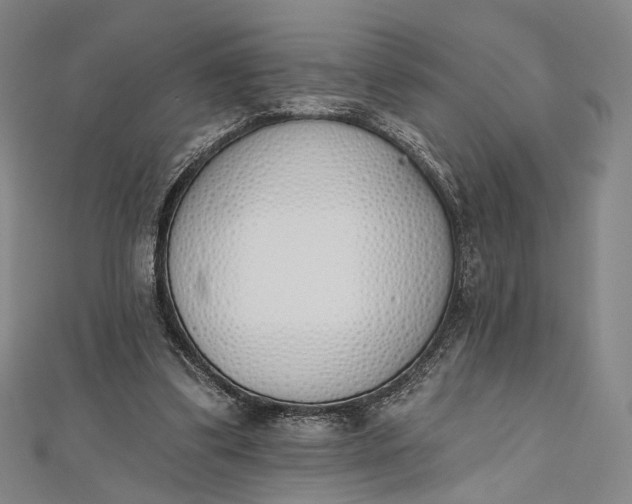 X0000112500299200908311458