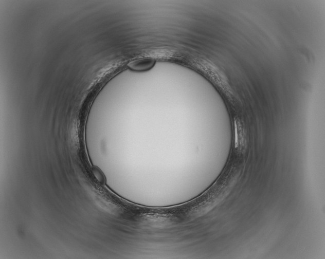 X0000112500300200908311458