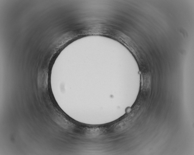 X0000112500301200908311458