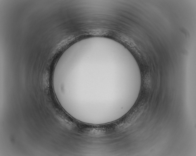 X0000112500303200908311458