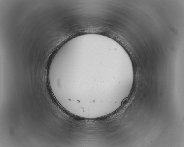 X0000112500305200908311458