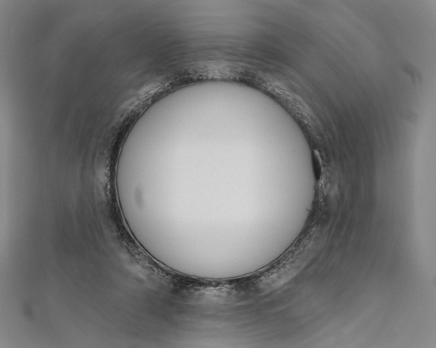 X0000112500306200908311458