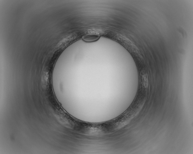 X0000112500308200908311458