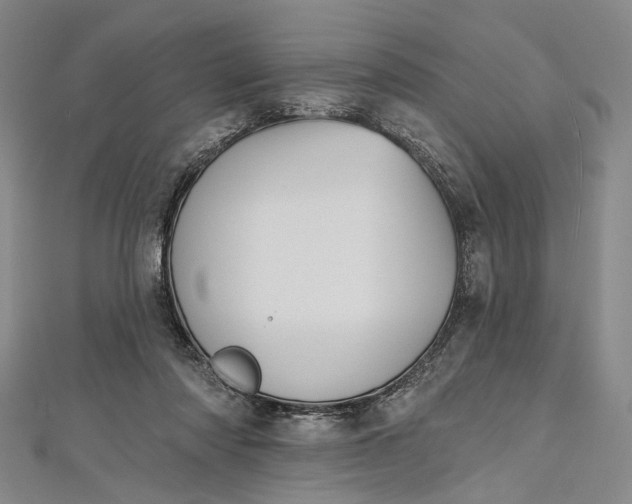 X0000112500310200908311458