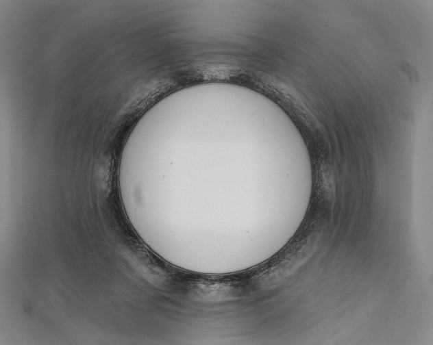 X0000112500311200908311458