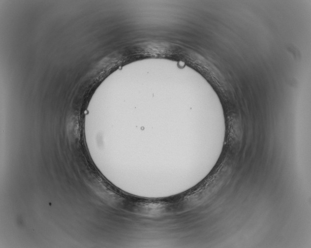 X0000112500313200908311458