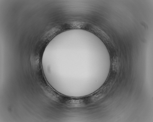 X0000112500314200908311458