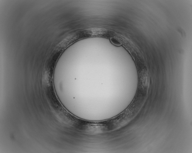 X0000112500316200908311458