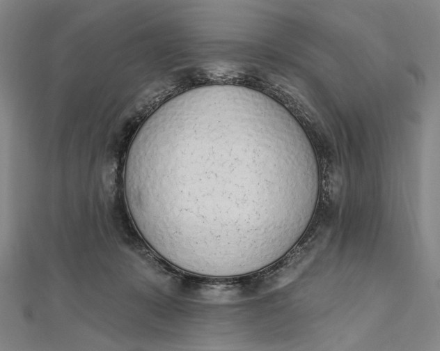 X0000112500319200908311457