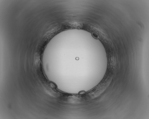 X0000112500320200908311457