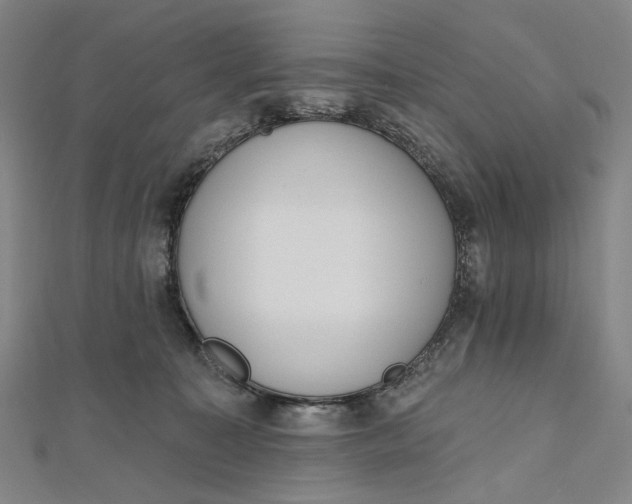 X0000112500323200908311457