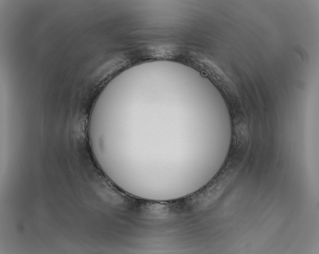 X0000112500325200908311457