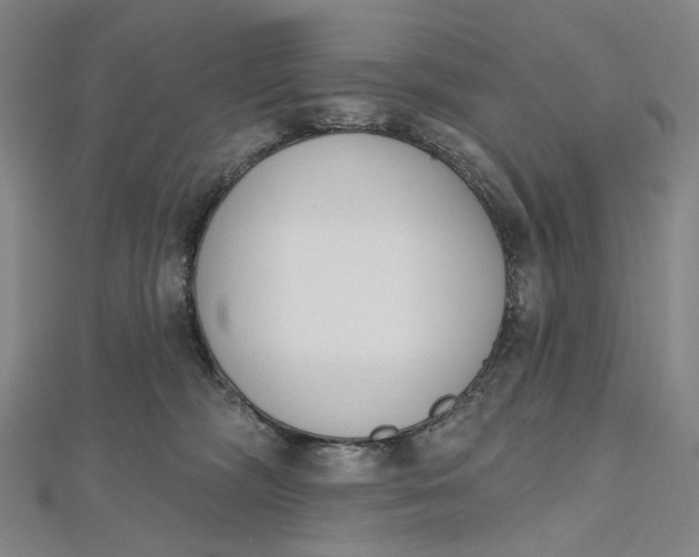 X0000112500326200908311457