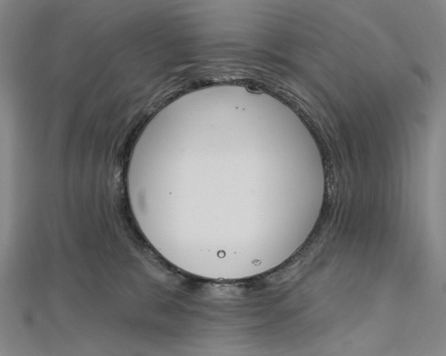 X0000112500327200908311457