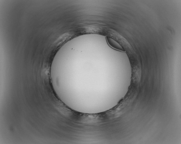 X0000112500329200908311457