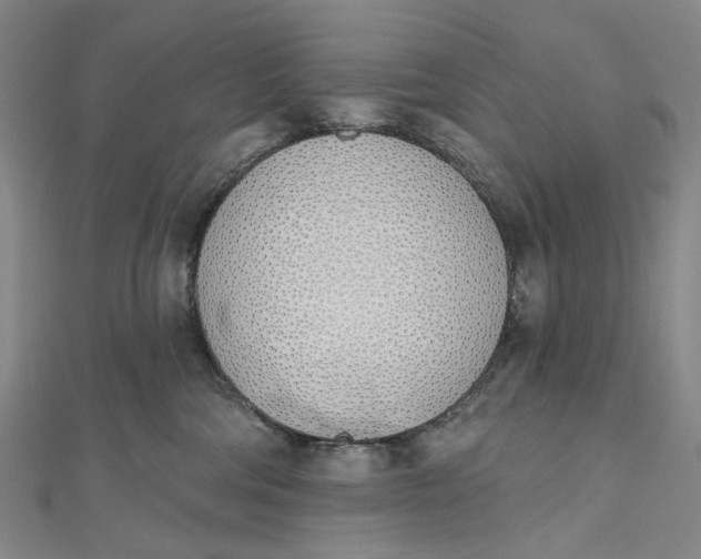 X0000112500330200908311457