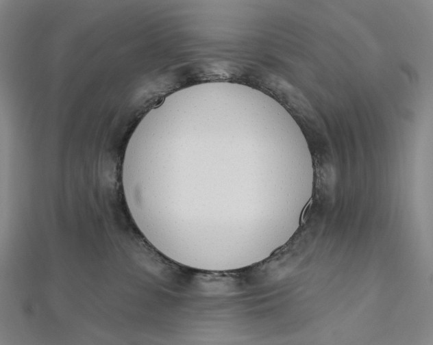 X0000112500331200908311457