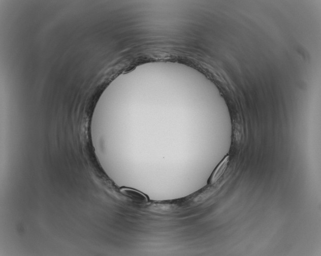 X0000112500332200908311457