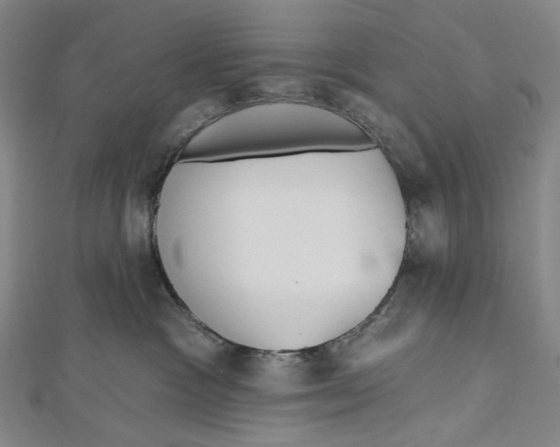 X0000112500333200908311457