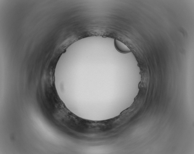 X0000112500334200908311457