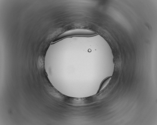 X0000112500335200908311457