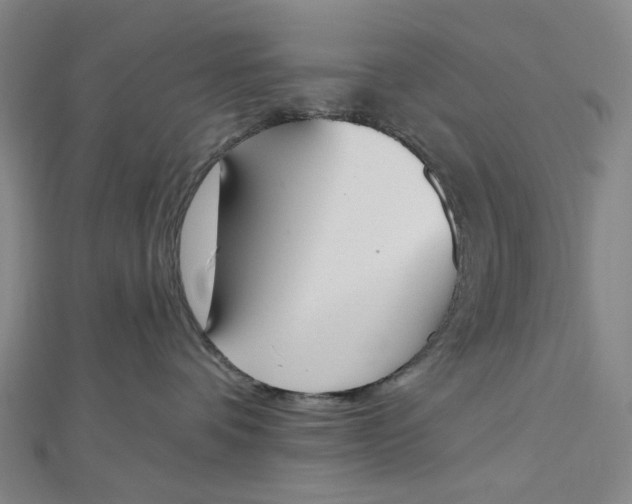 X0000112500336200908311457