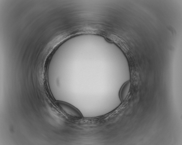 X0000112500338200908311456