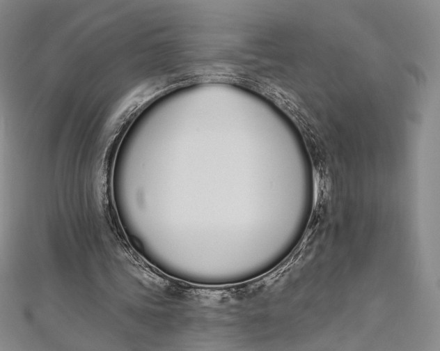 X0000112500339200908311456