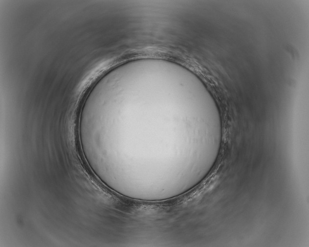 X0000112500341200908311457