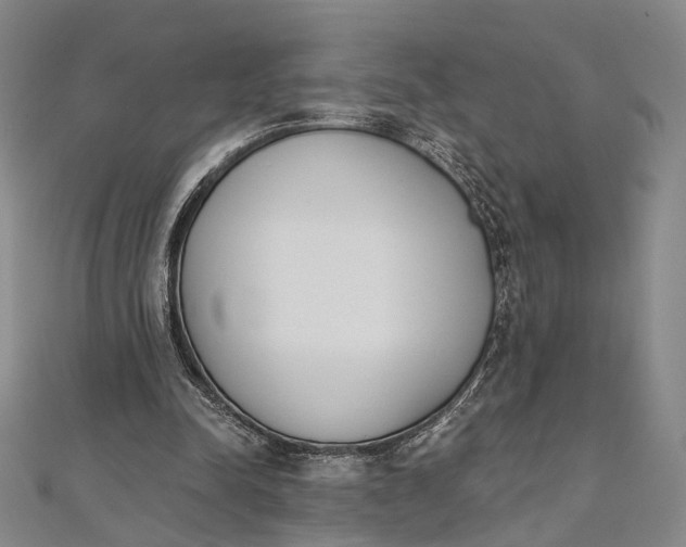 X0000112500342200908311457