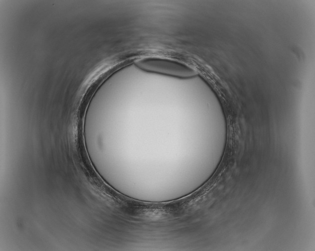 X0000112500344200908311457