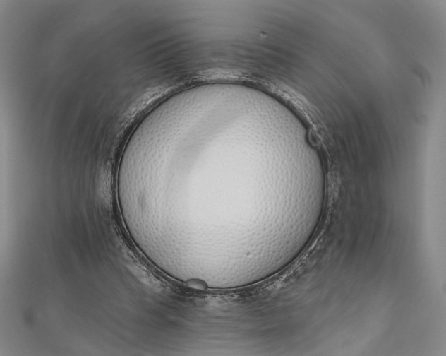 X0000112500345200908311457