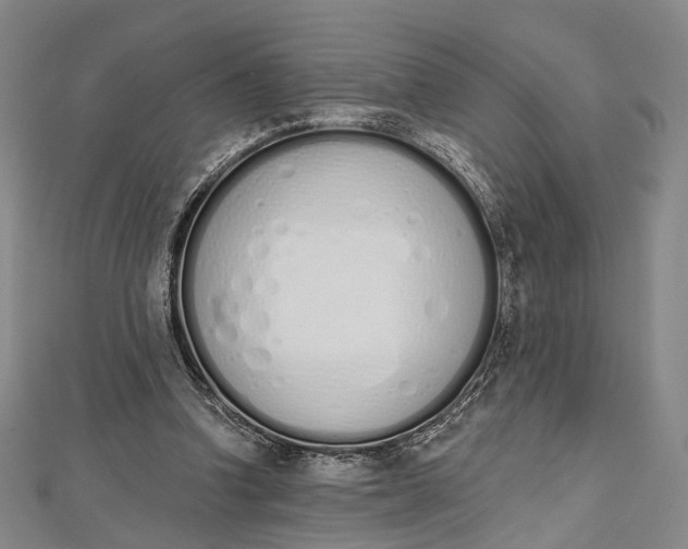 X0000112500346200908311457