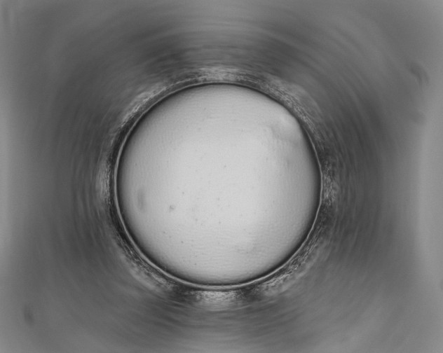 X0000112500347200908311457