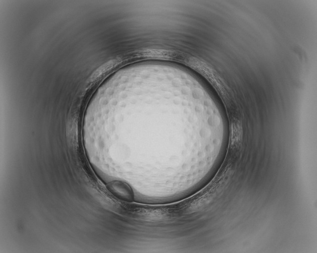 X0000112500349200908311457