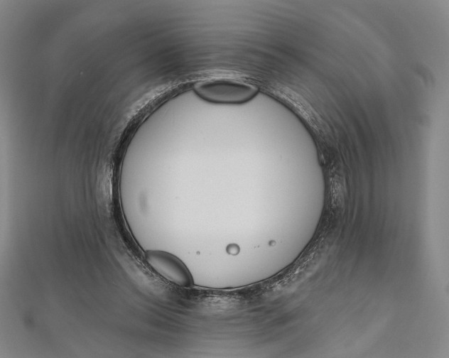 X0000112500350200908311457