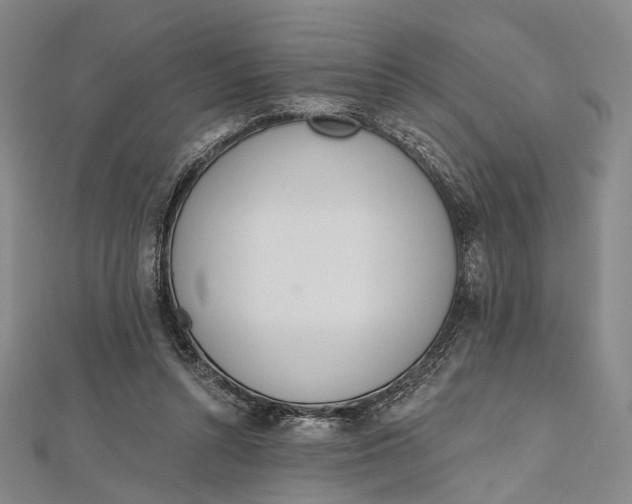 X0000112500352200908311457