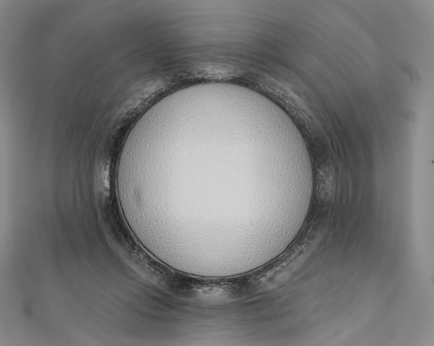 X0000112500358200908311457