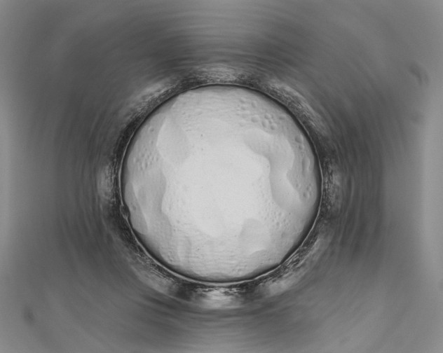 X0000112500359200908311457