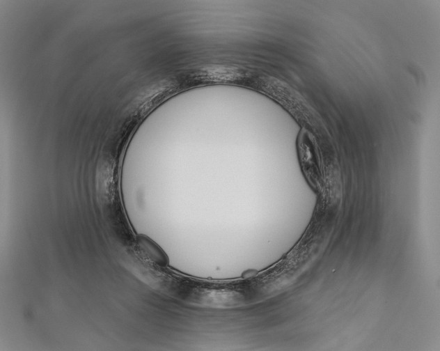 X0000112500360200908311457