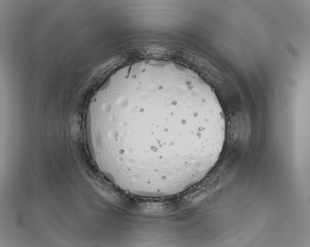 X0000112500361200908311457