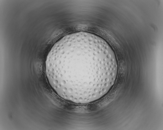 X0000112500363200908311457