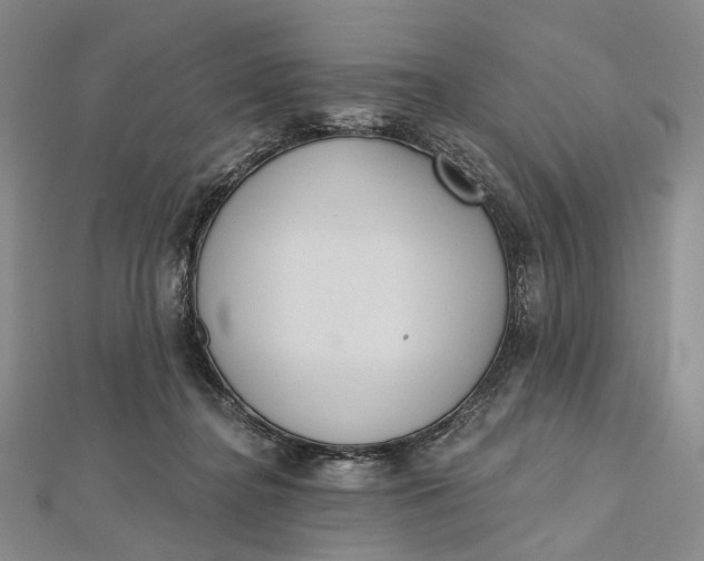 X0000112500364200908311457