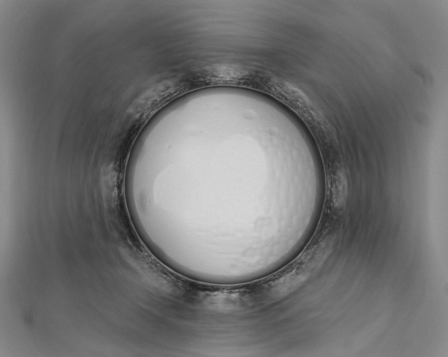 X0000112500366200908311457