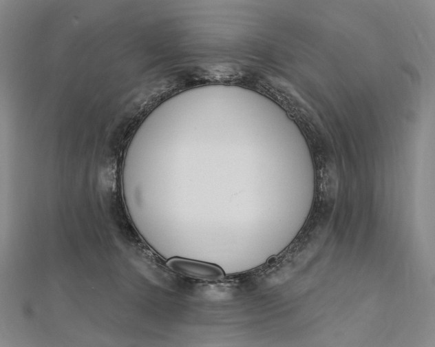 X0000112500368200908311457