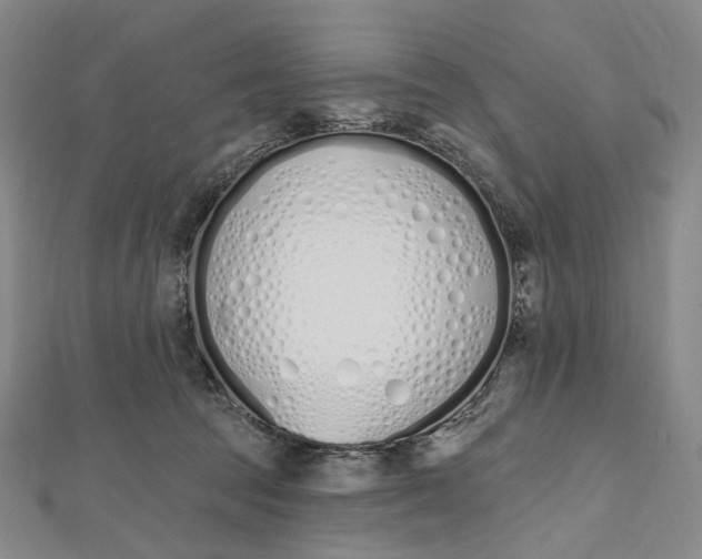 X0000112500369200908311457